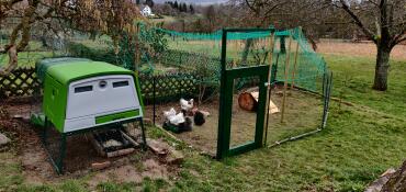 Green Eglu Cube large chicken coop and run in garden with run