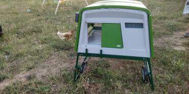 Eglu Cube large chicken coop in green