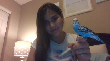 My beloved parakeet max