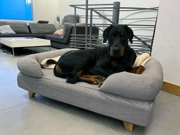 Dogs love the bolster to rest their head