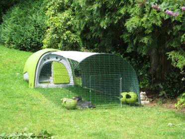 Green Eglu Classic chicken coop with run in garden