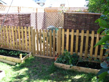 CHICKEN AREA IN GARDEN