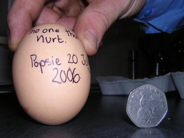 She laid the egg only ... not the money (crikey imagine if a chicken could lay money...)