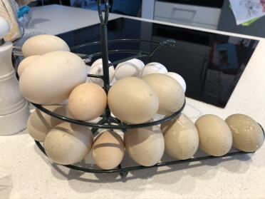 Display your chickens' eggs on a helter-skelter