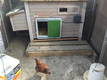 An Omlet Autodoor opener installed on a wooden chicken house.