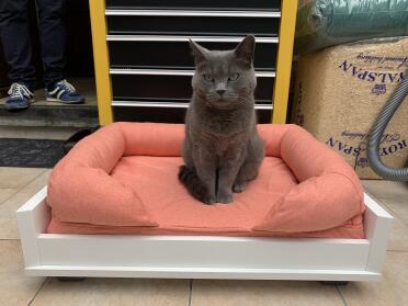 A black cat sitting on an Omlet cat bed.