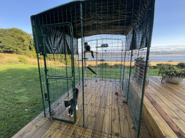 Catio on the tay