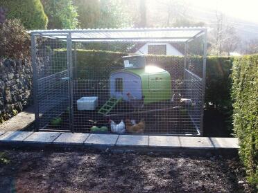 Green Eglu Cube large chicken coop in run