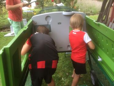 Everyone helping assemblying an Eglu Cube chicken house.