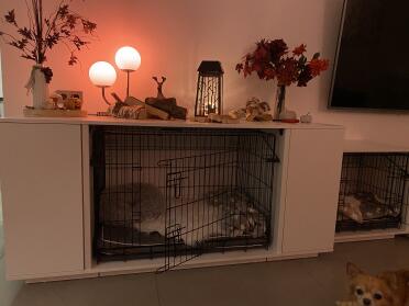 The Fido Studio is a great edition to any living room