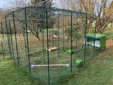 Plenty of room for your chickens to roam around safely!