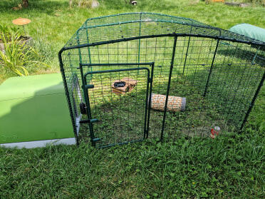 Installation for my guinea pigs 