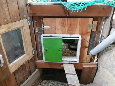 Omlet green automatic chicken coop door attached to wooden chicken coop