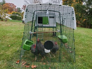 Omlet Chicken Coop 