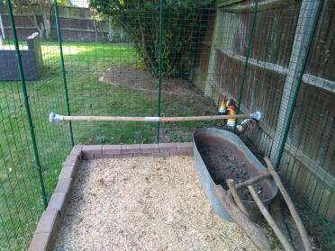 The chickens love their perch. i often see them on it during the day, but if i try to take a photo they jump off for food!