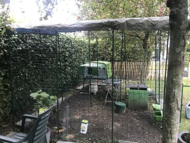 Our chicken coop and run, ready for fall!