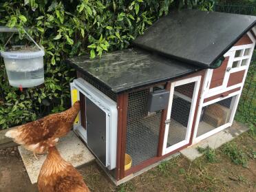 Omlet grey automatic chicken coop door connected to wooden chicken coop