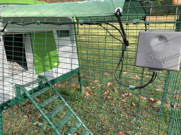 Keeping chickens is easier with the Autodoor.