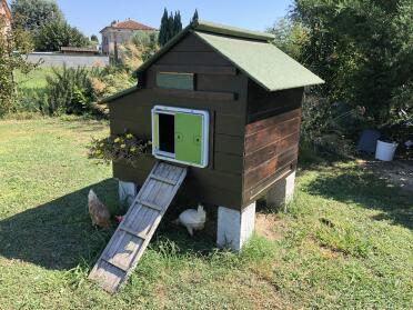 An automatic door opener installed on a wooden chicken coop.