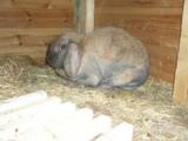 Barbara hiding in shed