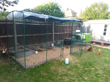 I went for 2x3x2m and added an extra meter run later. it's easy to get into for cleaning and has plenty of space for when they're not free ranging.