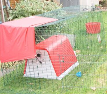 Omlet red Eglu Go plastic chicken coop in garden