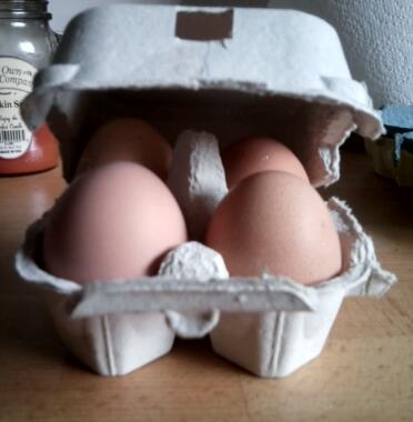 Omlet Egg Box