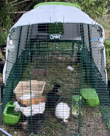 An Eglu Cube chicken coop with a cover on the top.