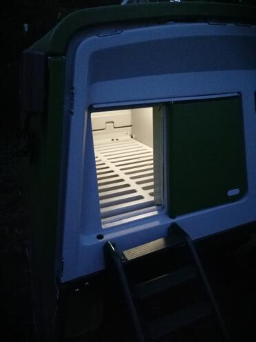 Omlet green automatic chicken coop door with coop light on