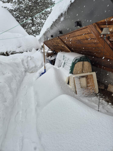 Chicken coop in the Snow