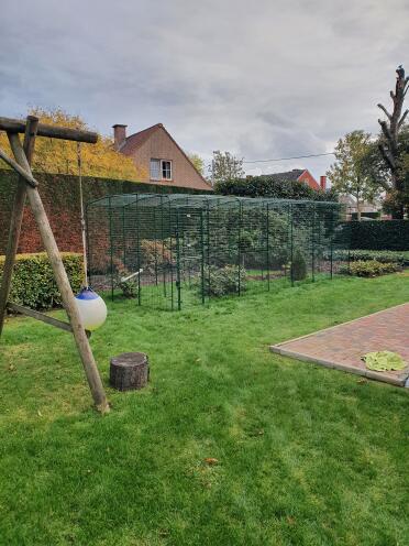 Chicken run, blends in nicely with the garden