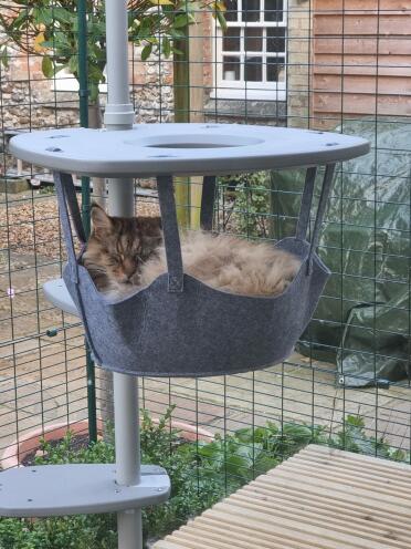 He loves his hammock 