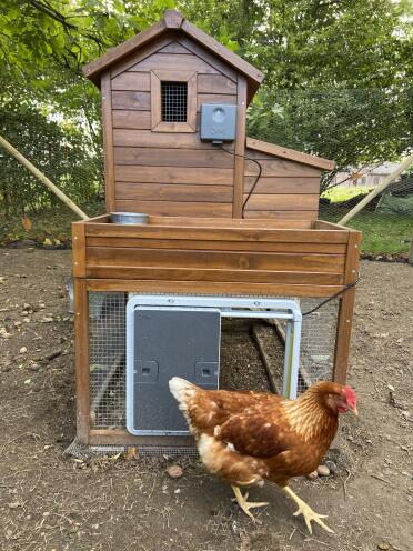 Autodoors work on all types of chicken coops.