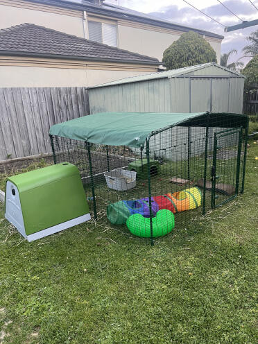 Omelet hutches for our mini lops