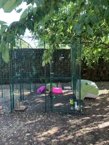 An Eglu Classic chicken coop with a walk in run attached.