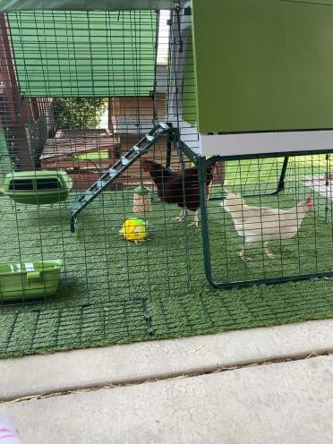 The girls inspecting their new digs