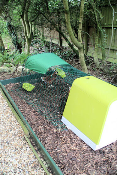 Omlet Eglu Go plastic chicken coop and run in garden