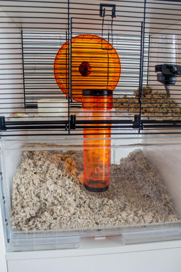 Close up of the cage (and of Tara's new bed that she doesn't use up on the main floor).