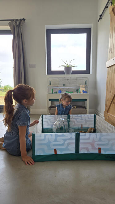 We love spending time with our hamster in the playpen!