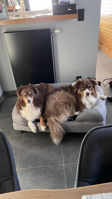 Cozy together on bunk bed