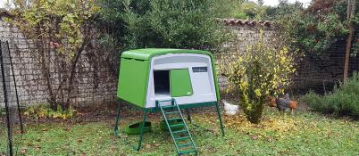 Omlet green Eglu Cube large chicken coop in garden