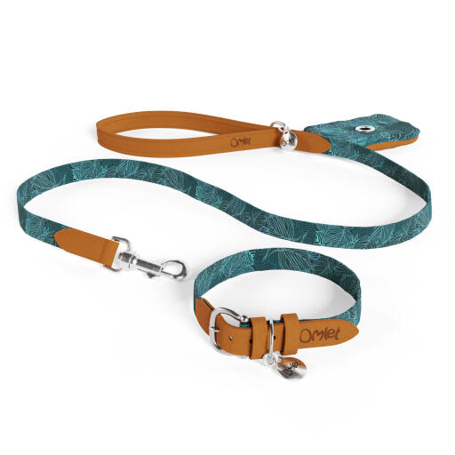 Dog Collar Leash Set - Matching Dog Collar and Lead, Made in The