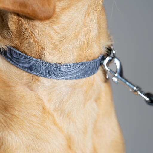 Dog Leash - Contour Grey