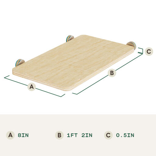 Large hamster platform dimensions (in)