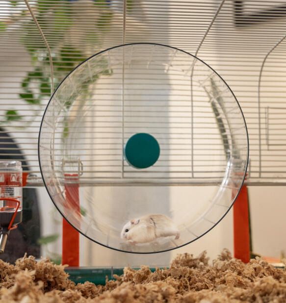 Hamster Cage Hamster Playpen Omlet