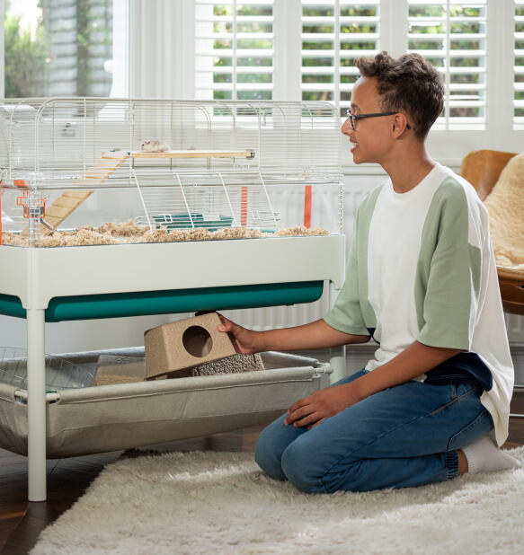 Young boy using Omlet's hamster cage storage basket