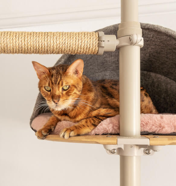 A cat sitting in the pink sheepskin platform den.