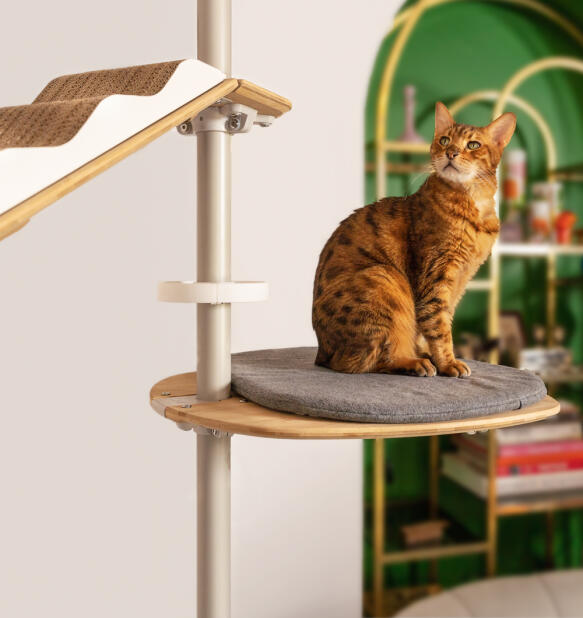 Customizable Freestyle Indoor Cat Tree Omlet