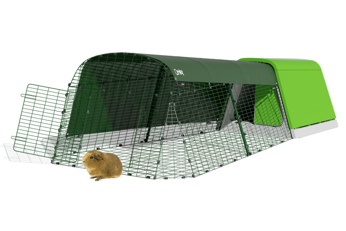 Guinea pig hutches