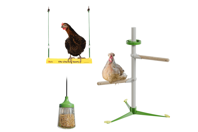Chicken toys and perches